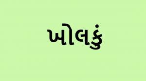 કહો ચતુર સુજાણઃ તમને શું લાગે છે, આ શબ્દનો અર્થ શું હશે? કોઇપણ વિકલ્પ પસંદ કરો