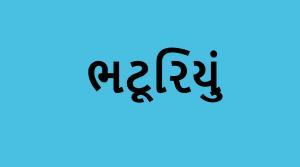 કહો ચતુર સુજાણઃ તમને શું લાગે છે, આ શબ્દનો અર્થ શું હશે? કોઇપણ વિકલ્પ પસંદ કરો