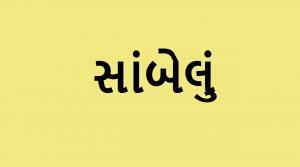 કહો ચતુર સુજાણઃ તમને શું લાગે છે, આ શબ્દનો અર્થ શું હશે? કોઇપણ વિકલ્પ પસંદ કરો