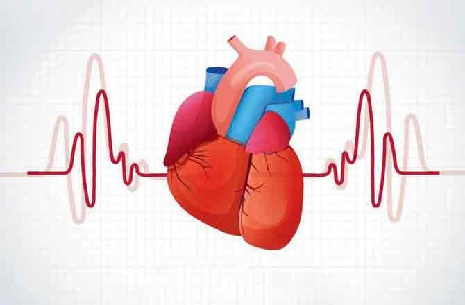 પ્રતીકાત્મક તસવીર