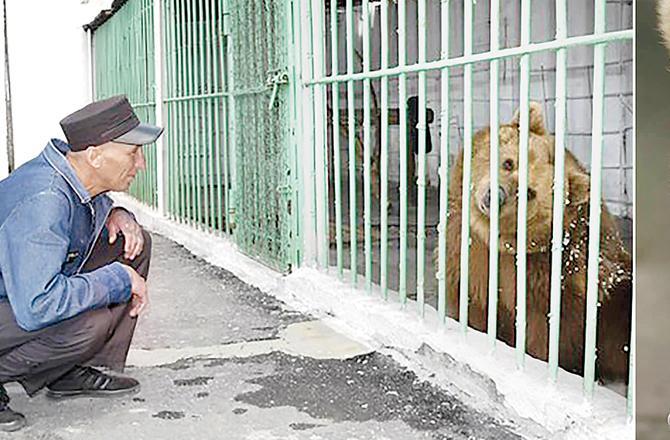 આ રીંછ છેલ્લાં 15 વર્ષથી જેલમાં છે,