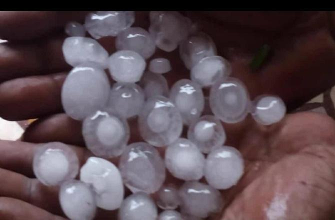 રાજકોટના પડધરીમાં પડ્યા કરાં