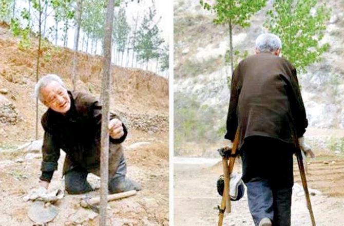 આ ભાઈએ પગ ન હોવા છતાં17,000 વૃક્ષો વાવ્યા