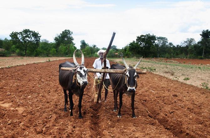 પ્રતીકાત્મક તસવીર