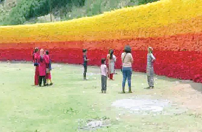 પ્લાસ્ટિકની બૉટલમાંથી બની વૉલ-આર્ટ