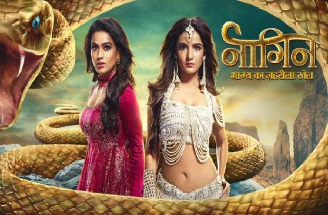 'નાગિન 4'ના ધમાકેદાર એન્ડ બાદ 'નાગિન 5' લઈને આવશે એકતા કપૂર