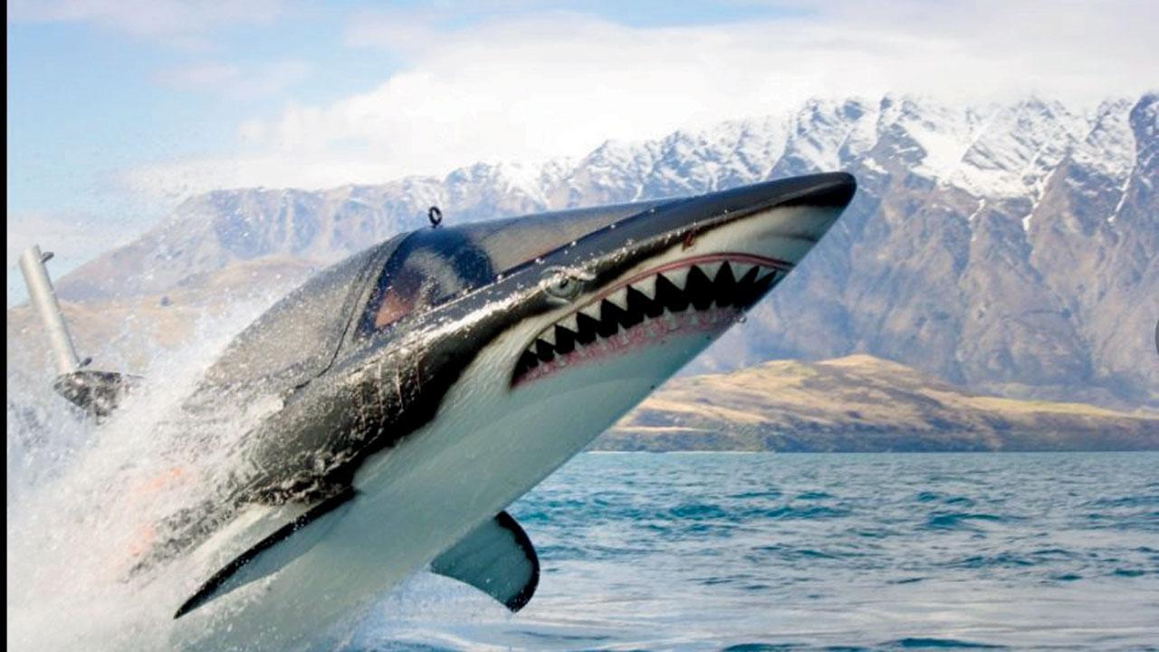 આ ‘શાર્ક’માં તમે મુસાફરી કરી શકો