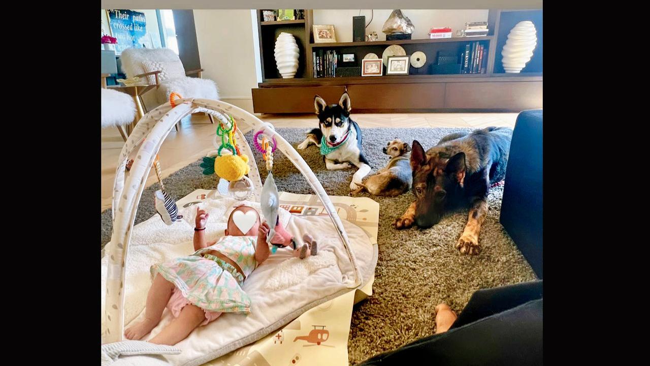 તસવીર સૌજન્ય : સોશ્યલ મીડિયા