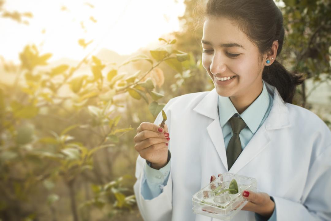 પ્રતીકાત્મક તસવીર સૌજન્ય : આઇસ્ટૉક