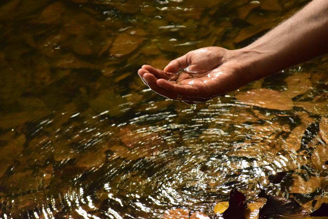 પ્રતીકાત્મક તસવીર સૌજન્ય : આઇસ્ટૉક