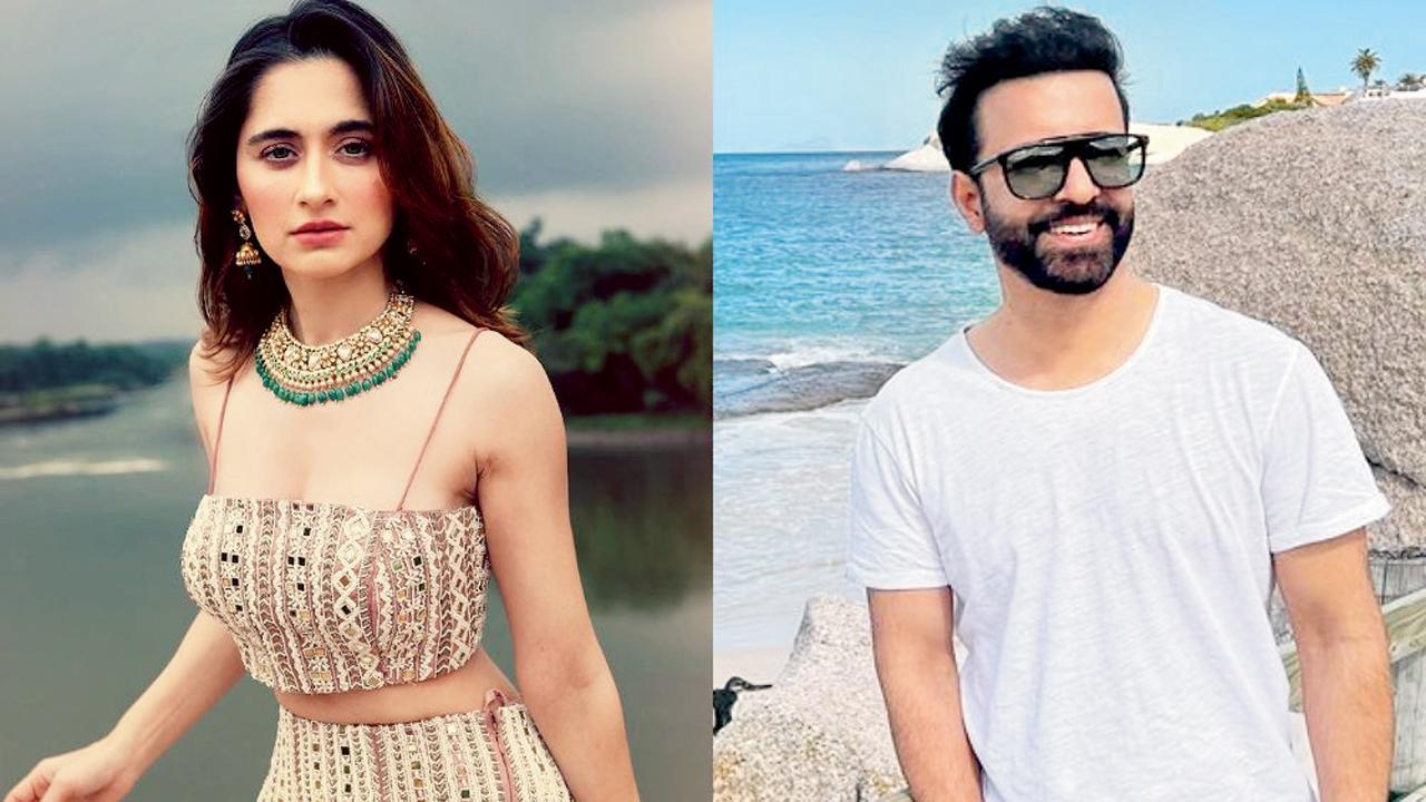 સંજીદા શેખ, આમિર અલી