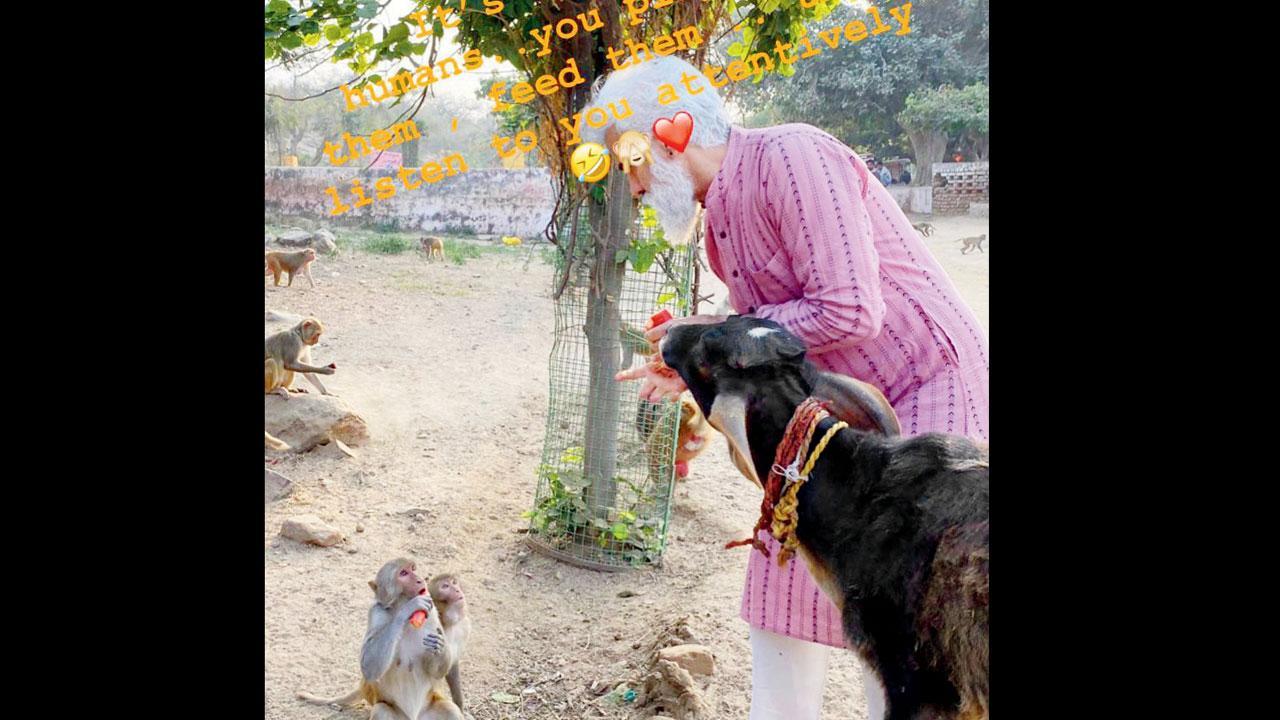 મારા અને ડૉક્ટર ડુલિટલમાં કોઈ ફરક નથી. જુઓ, આ મર્કટ પણ કેટલા ધ્યાનથી મને સાંભળે છે.