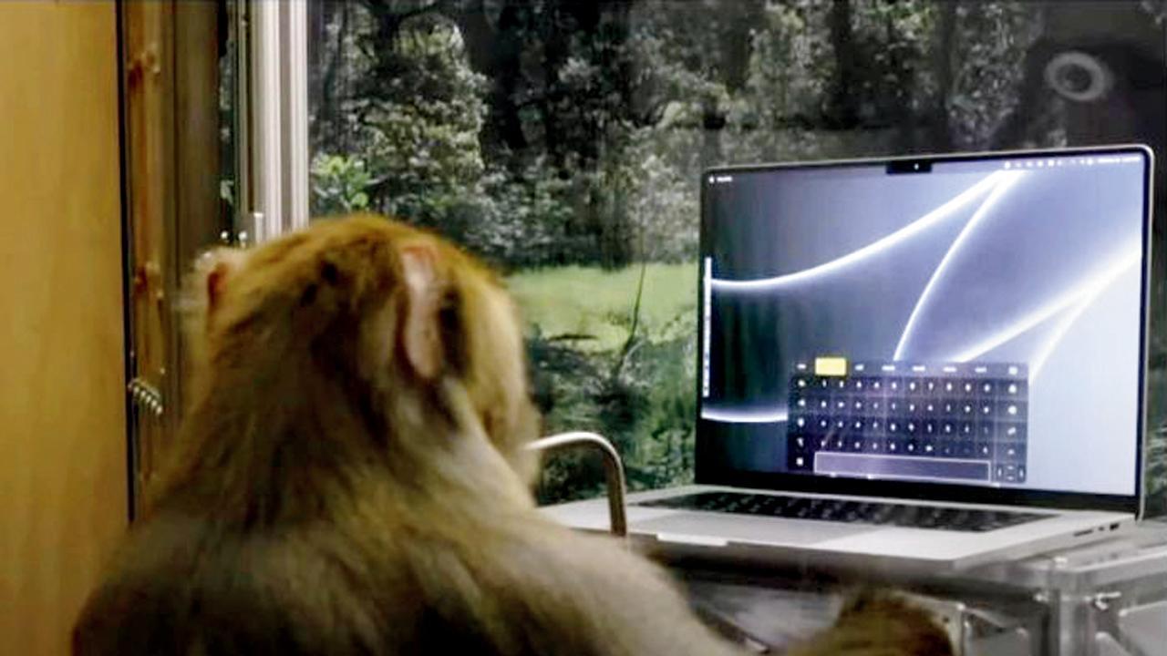 ઇલૉન મસ્કની કંપની ન્યુરાલિન્કની ટ્રાયલમાં પાર્ટિસિપેટ કરનાર વાંદરો