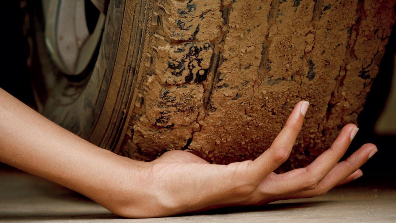 પ્રતીકાત્મક તસવીર