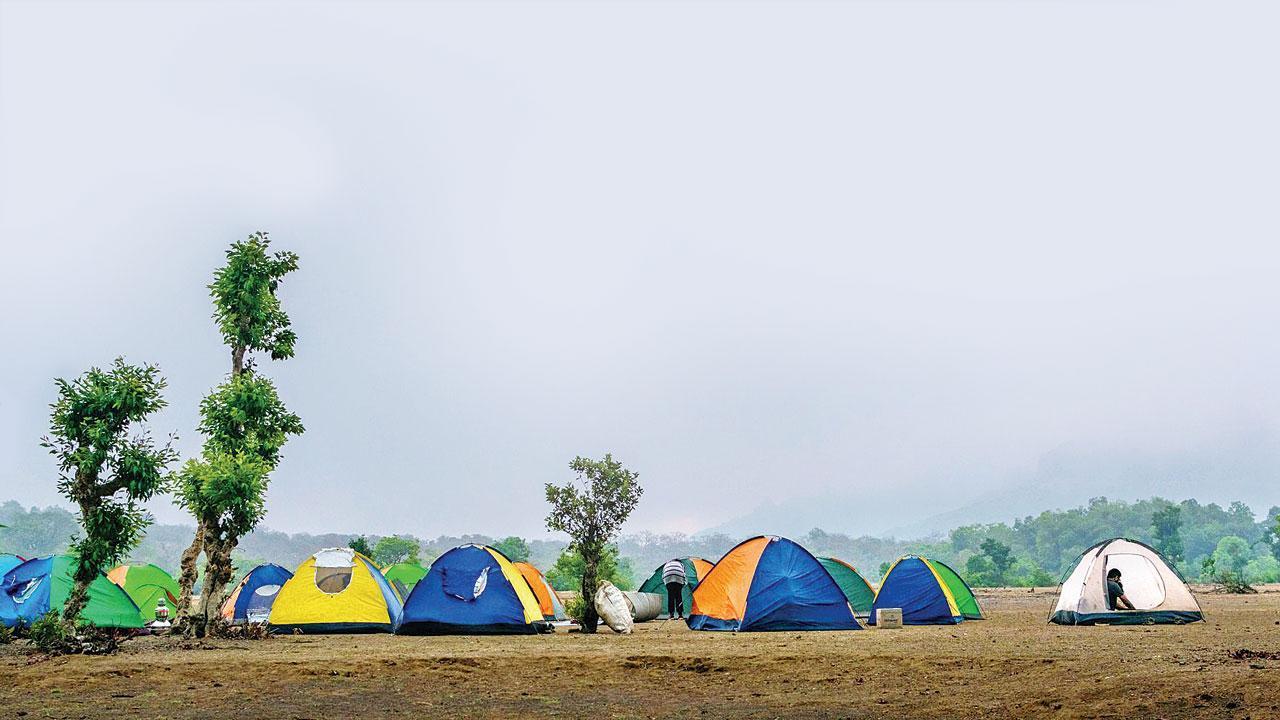ઘોંઘાટવાળી પાર્ટી બોરિંગ લાગતી હોય તો ચાલો કૅમ્પિંગ અને ટ્રેકિંગ કરવા 