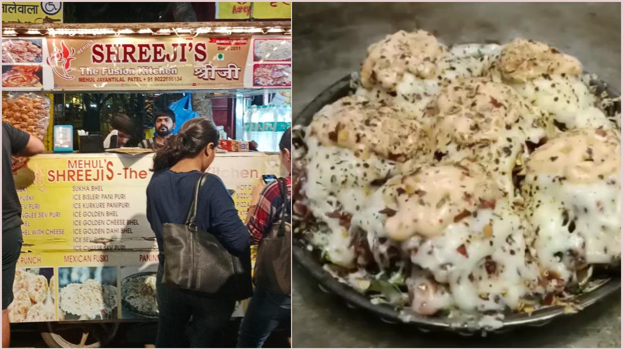 શ્રીજીસ ધ ફ્યૂઝન કિચન