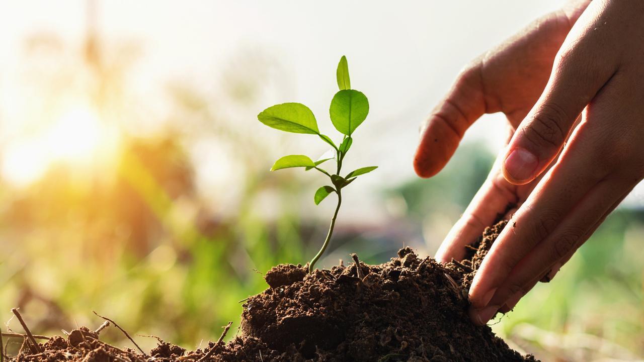 પ્રતીકાત્મક તસવીર. તસવીર/આઈસ્ટોક