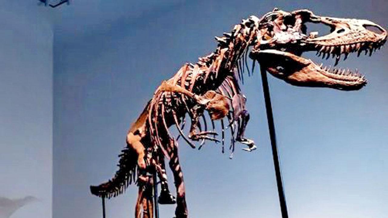 ડાયનોસૉરના હાડપિંજરની થશે હરાજી