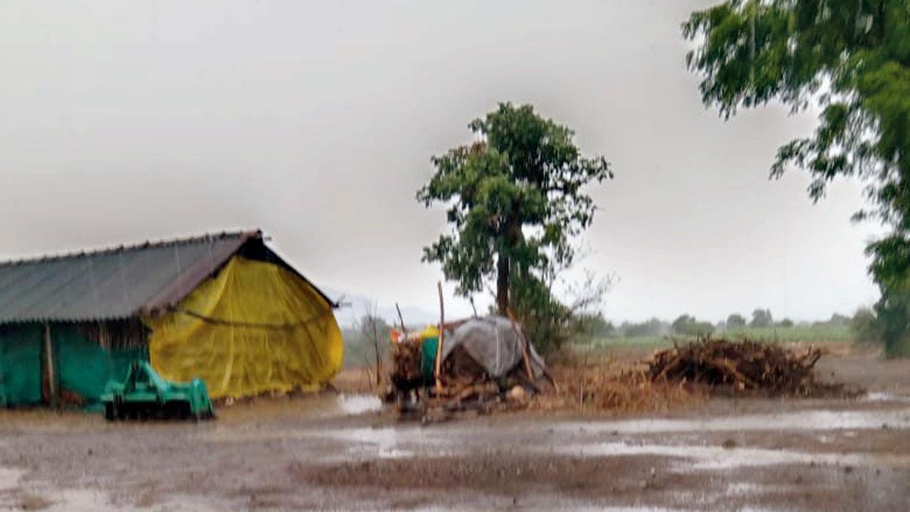 ફાઇલ તસવીર