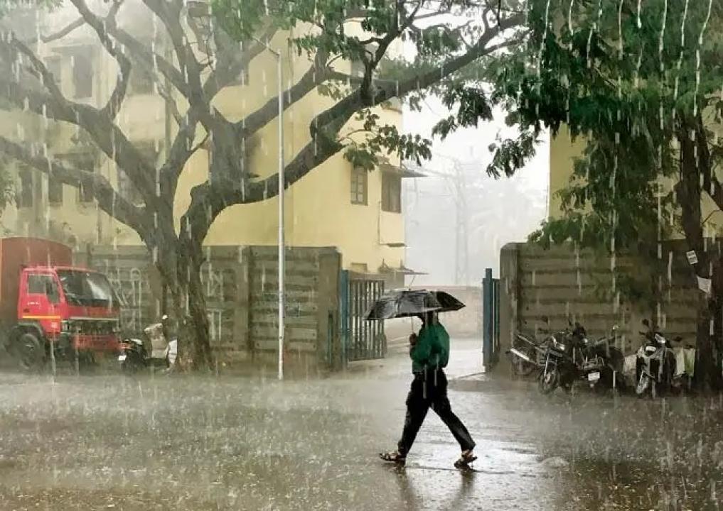 પ્રતીકાત્મક તસવીર