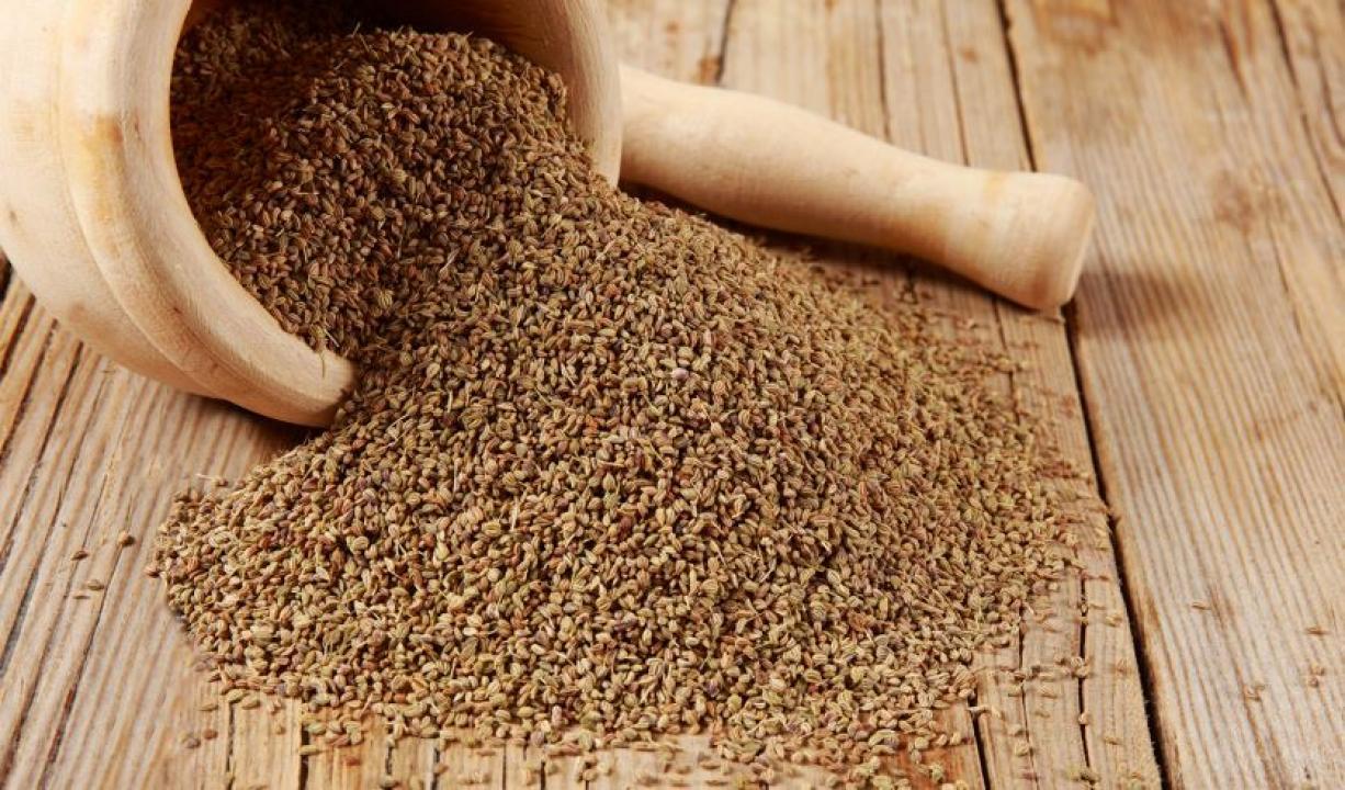 પ્રતિકાત્મક તસવીર