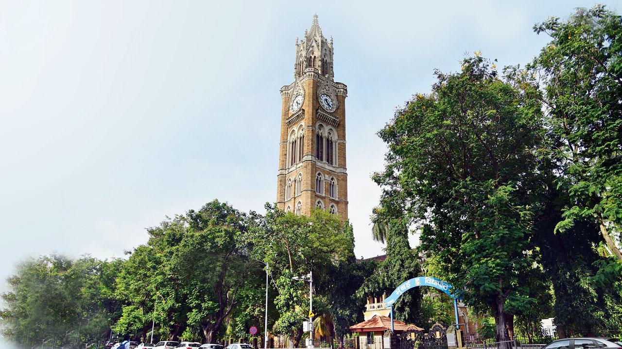 ફાઇલ તસવીર