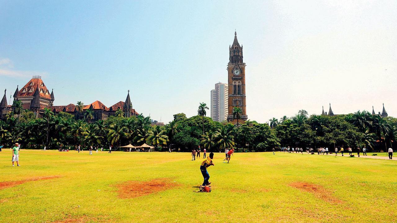 ફાઇલ તસવીર