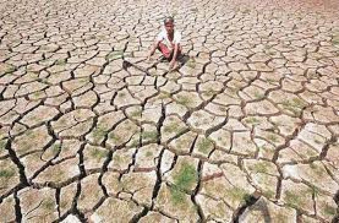 પ્રતીકાત્મક તસવીર