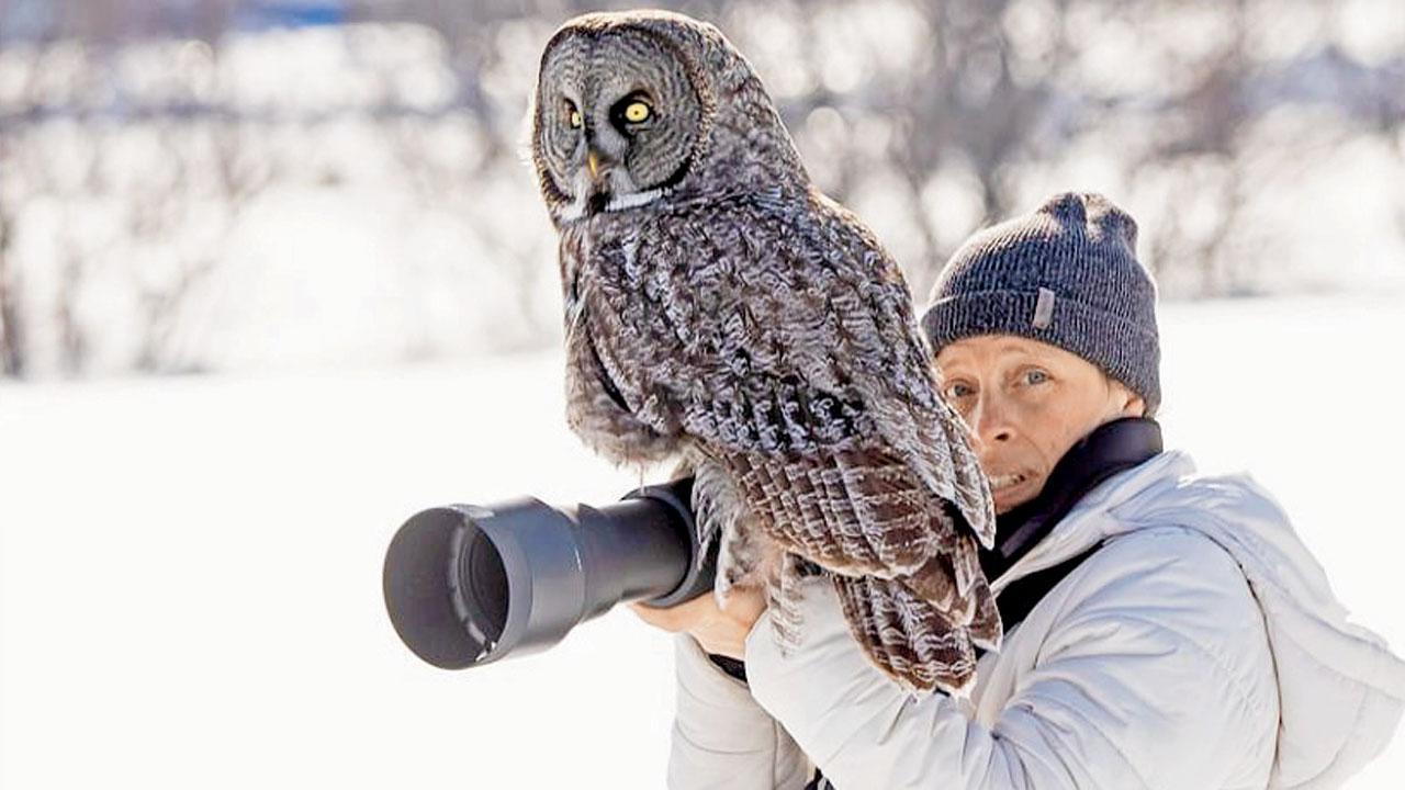 કૅમેરાના લેન્સ પર ઘુવડ