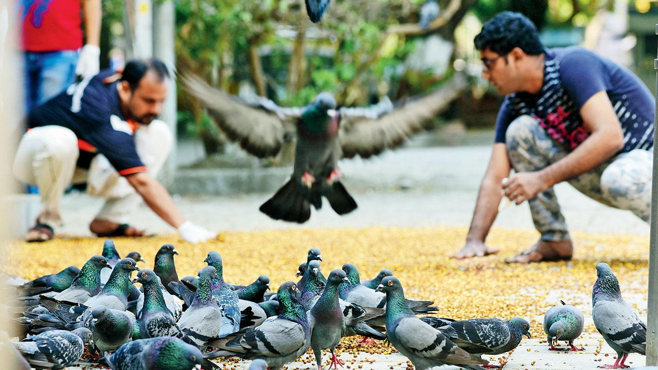 ફાઇલ તસવીર
