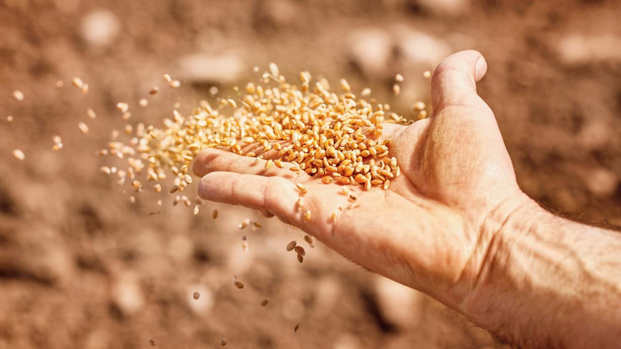 પ્રતીકાત્મક તસવીર