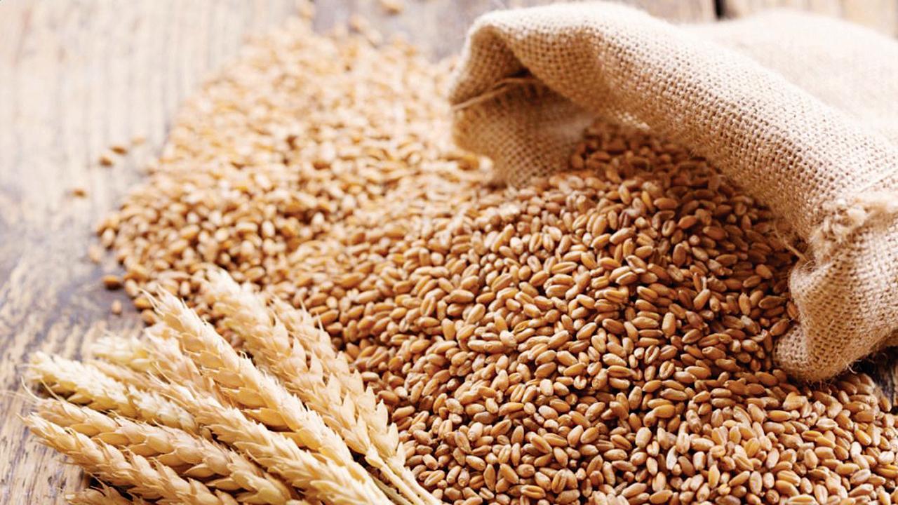 પ્રતીકાત્મક તસવીર