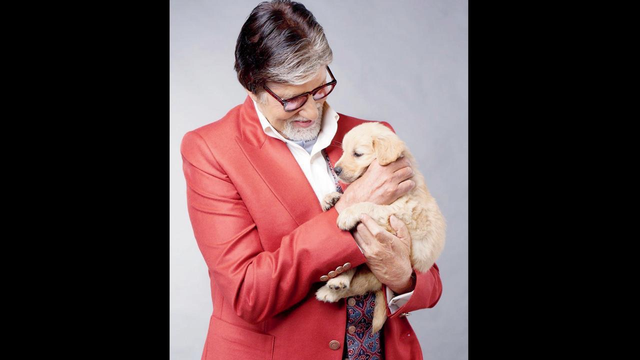 અમિતાભ બચ્ચન