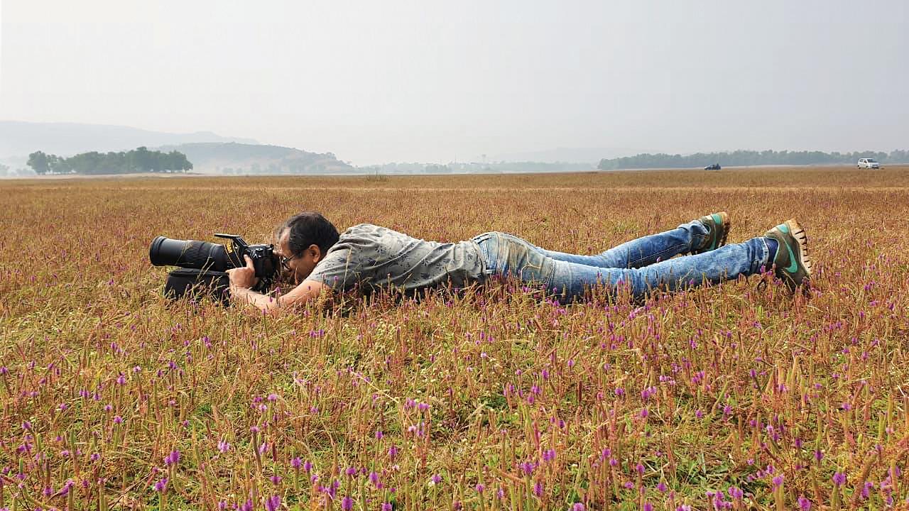 રશિકન સાવલા