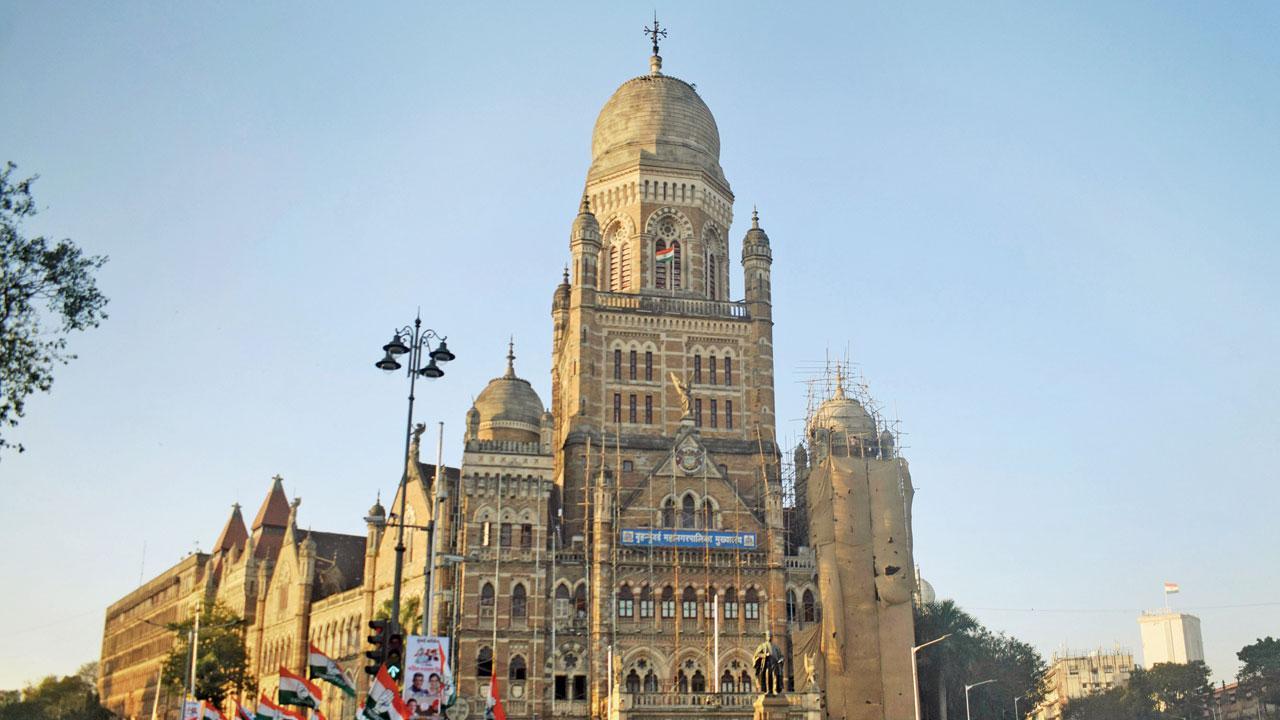 ફાઇલ તસવીર