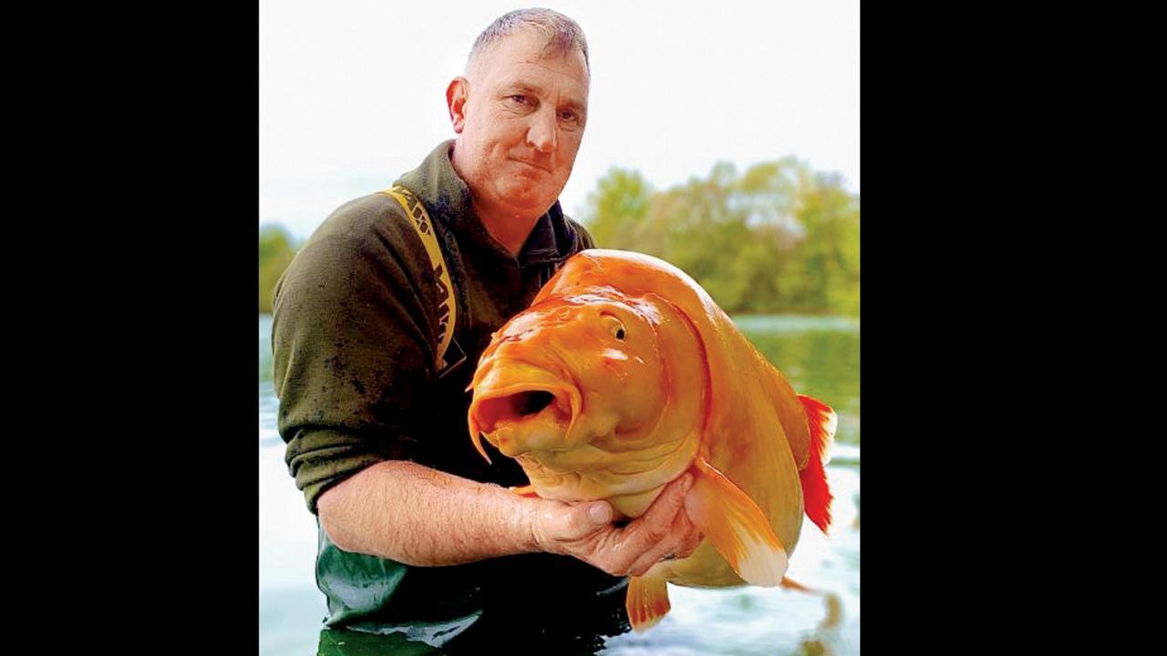 ઍન્ડિ હેકેટ નામની એક વ્યક્તિએ વિશ્વની સૌથી મોટી ગોલ્ડ ફિશ પકડી