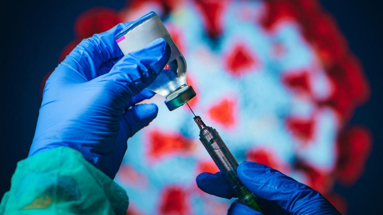 પ્રતીકાત્મક તસવીર