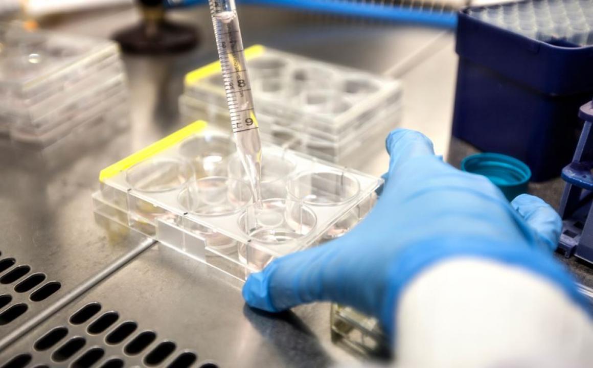 પ્રતીકાત્મક તસવીર