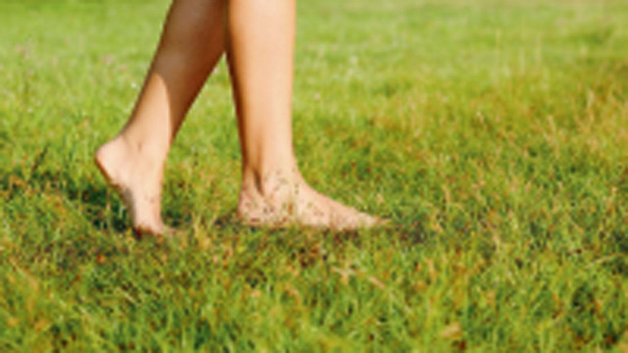 પ્રતીકાત્મક તસવીર