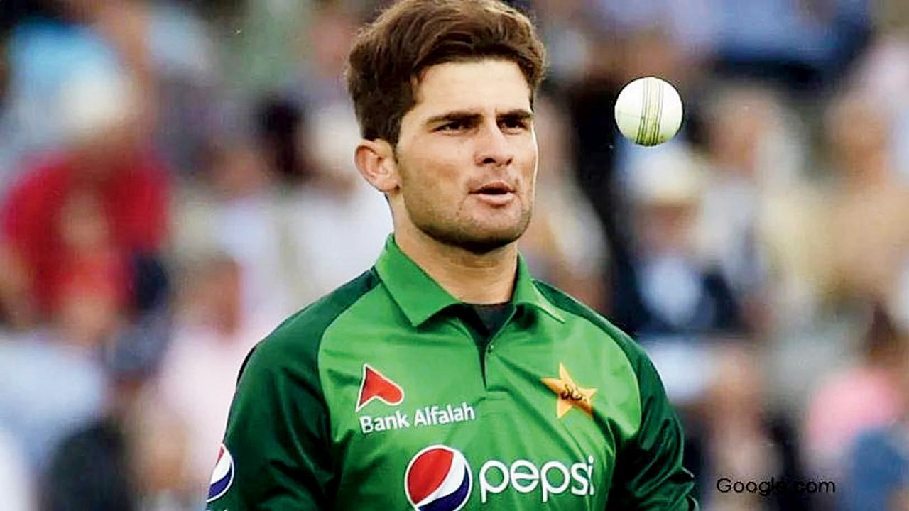 શાહીન શાહ આફ્રિદી