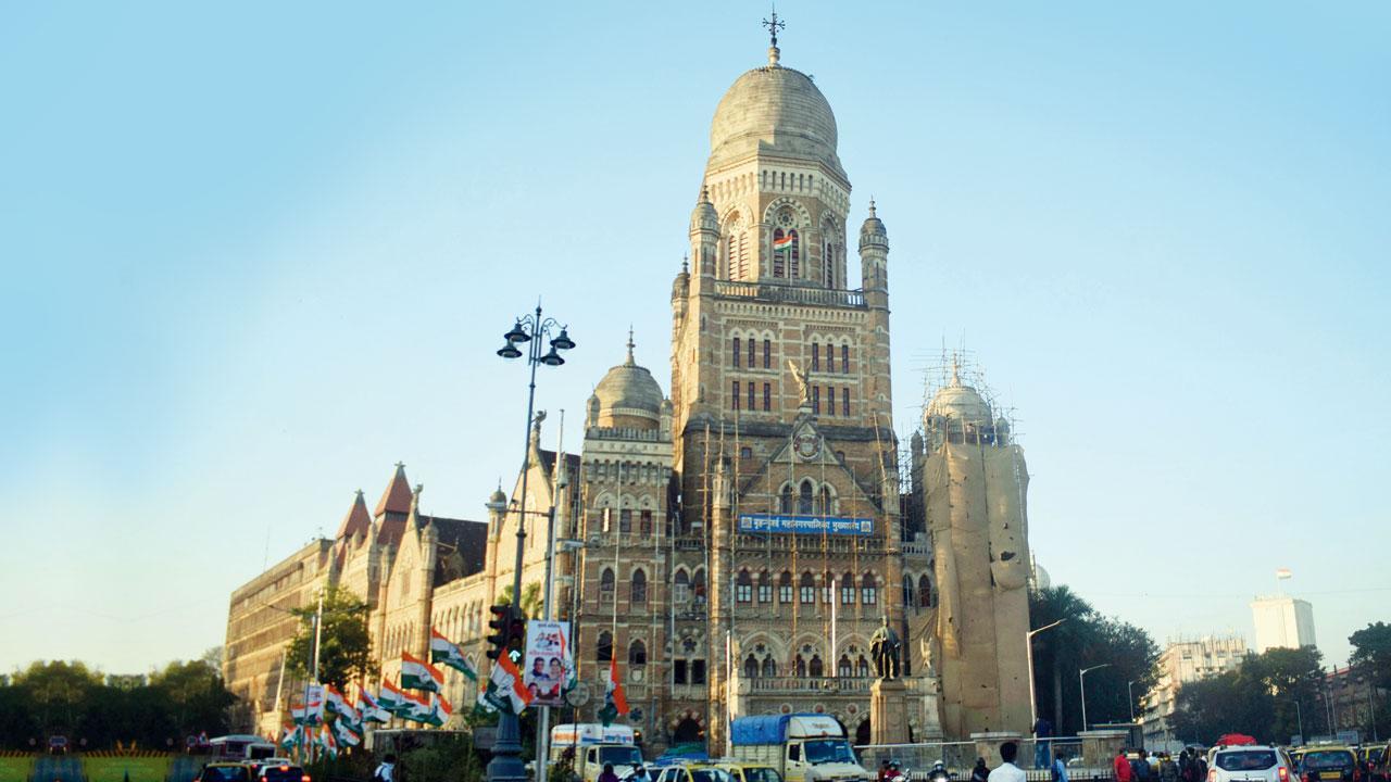 બીએમસીએ અજાણતાં કરી પર્યાવરણની રક્ષા