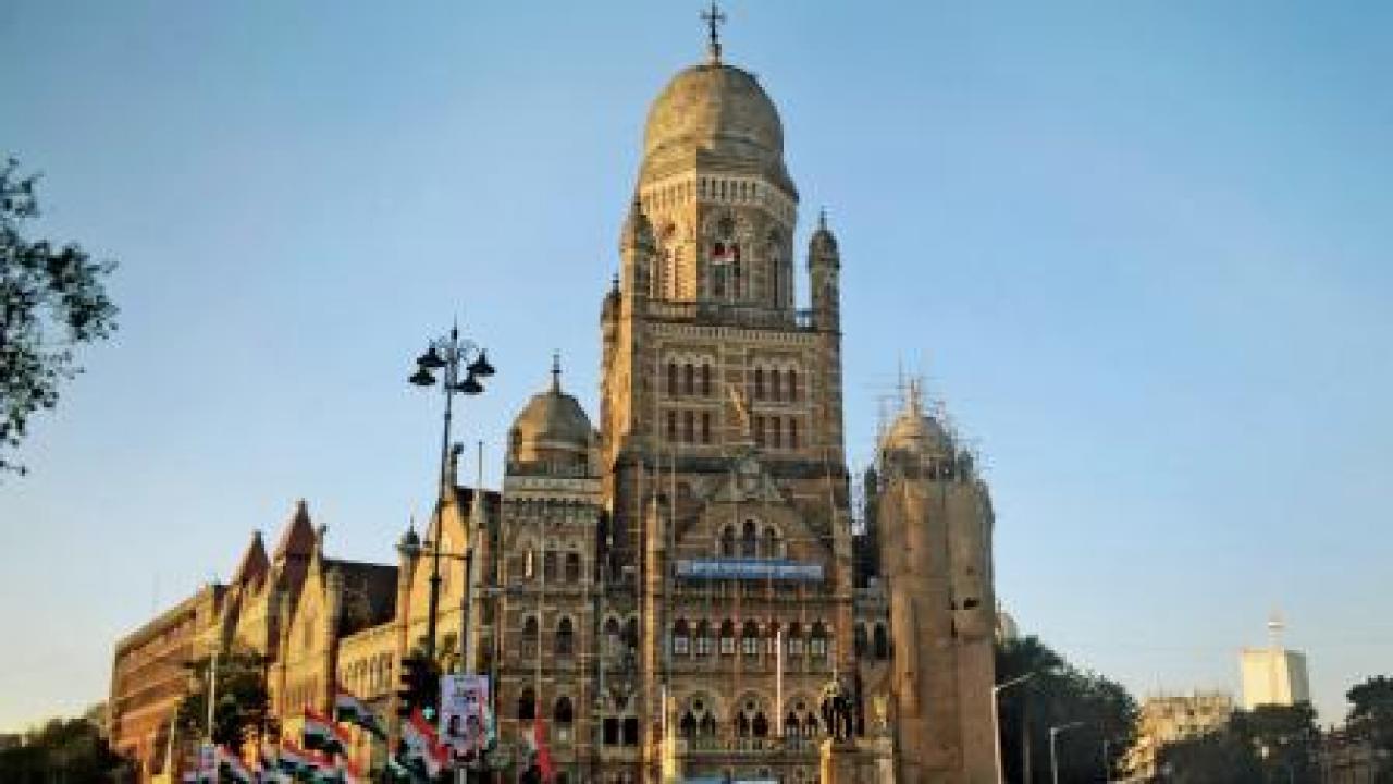 ફાઈલ તસવીર