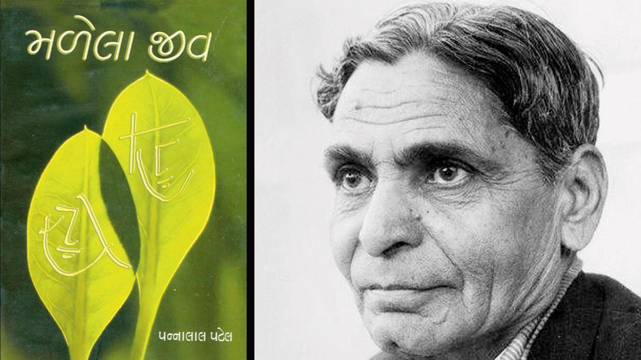 મળેલા જીવ બાય પન્નાલાલ પટેલ