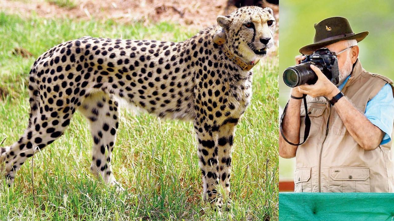 તસવીર સૌજન્ય : એ.એફ.પી./પી.ટી.આઇ.