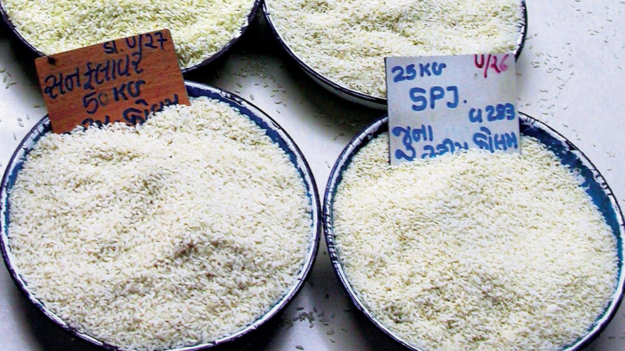 પ્રતીકાત્મક તસવીર