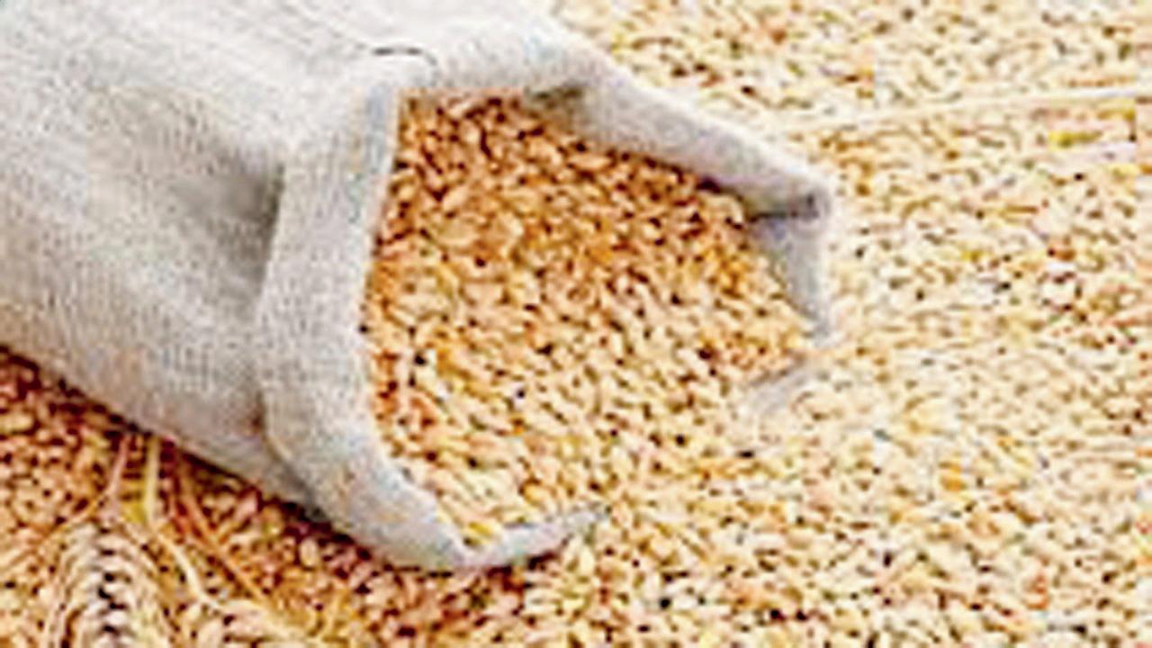 પ્રતીકાત્મક તસવીર (સૌજન્ય : આઇસ્ટૉક)