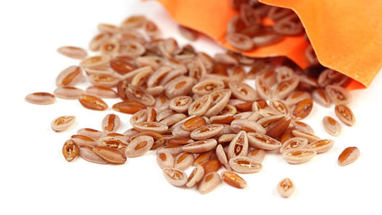 પ્રતીકાત્મક તસવીર (સૌજન્ય આઇસ્ટૉક)