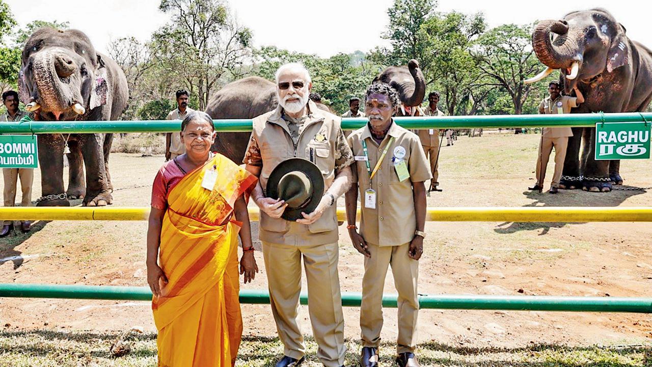 ખાસ મુલાકાત કરી : વડા પ્રધાને ગઈ કાલે પર્વતીય નીલગિરિ જિલ્લામાં મુદુમલાઈમાં થેપ્પક્કડુ એલિફન્ટ કૅમ્પની પણ મુલાકાત લીધી હતી. અહીં તેમણે ઑસ્કર વિનિંગ ડૉક્યુમેન્ટરી ‘ધ એલિફન્ટ વ્હિસ્પર્સ’માં જોવા મળેલા એલિફન્ટ કૅરટેકર્સ બેલી અને બોમ્મન સાથે વાતચીત કરી હતી. 