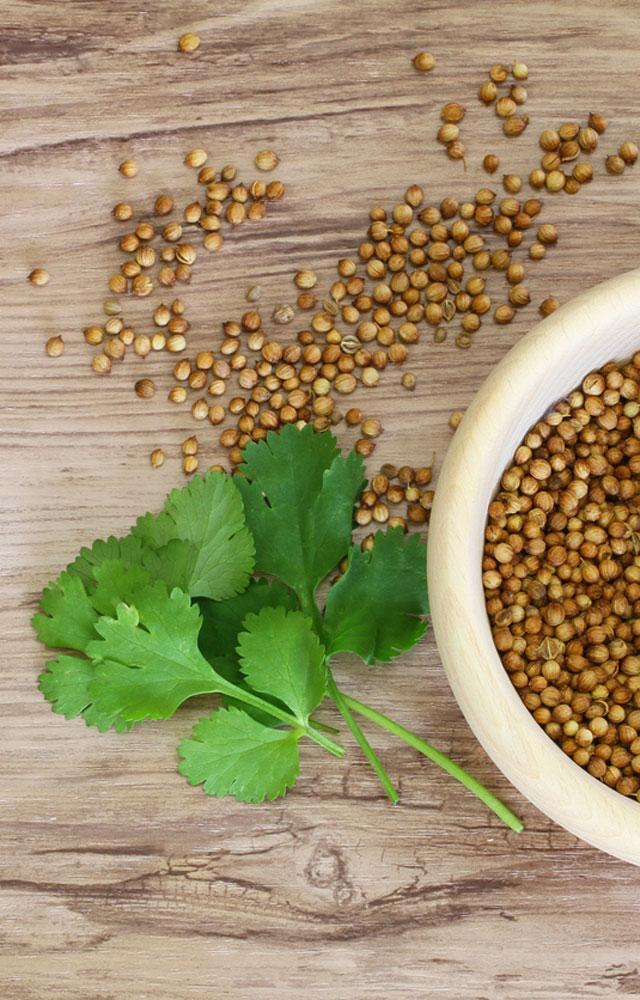 5 દુઃખો કી એક દવા છે રસોડાના ધાણાં?