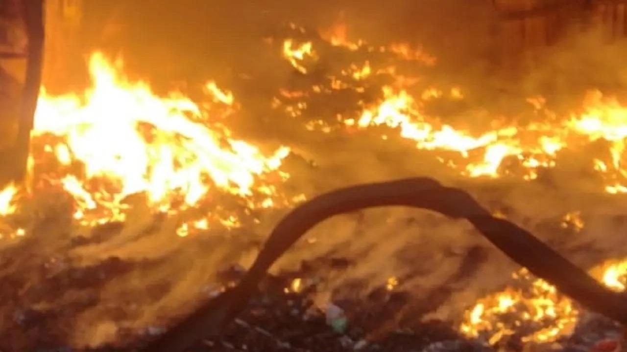 પ્રતીકાત્મક તસવીર